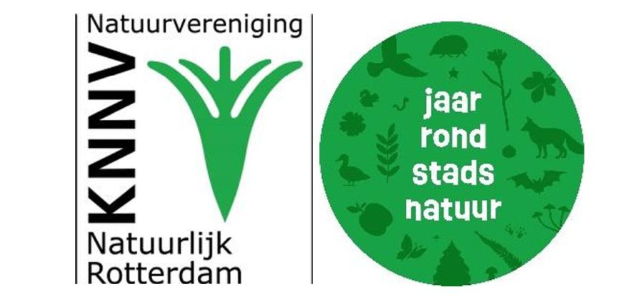 Stadsnatuur- zoektocht naar een verborgen schat