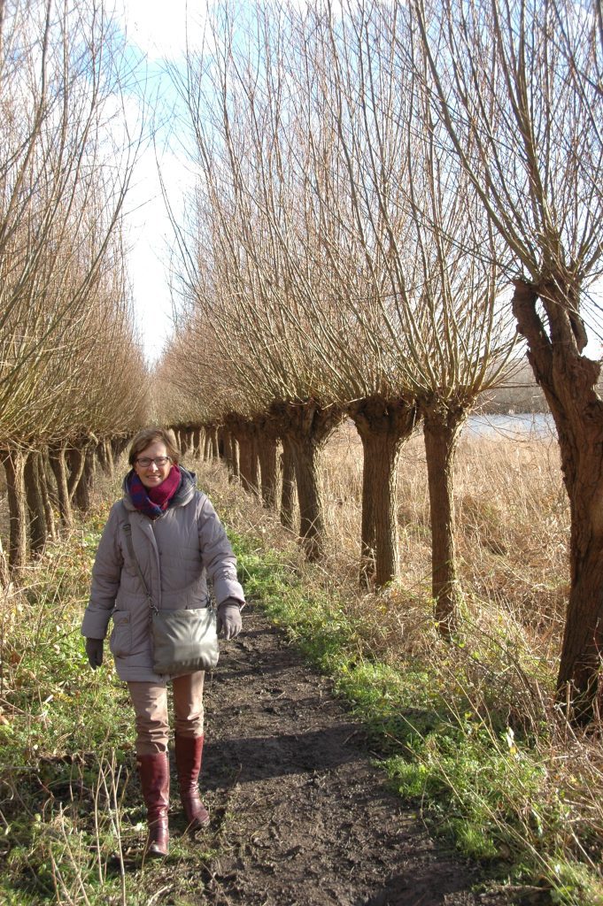 Wandelen – het Erasmuspad