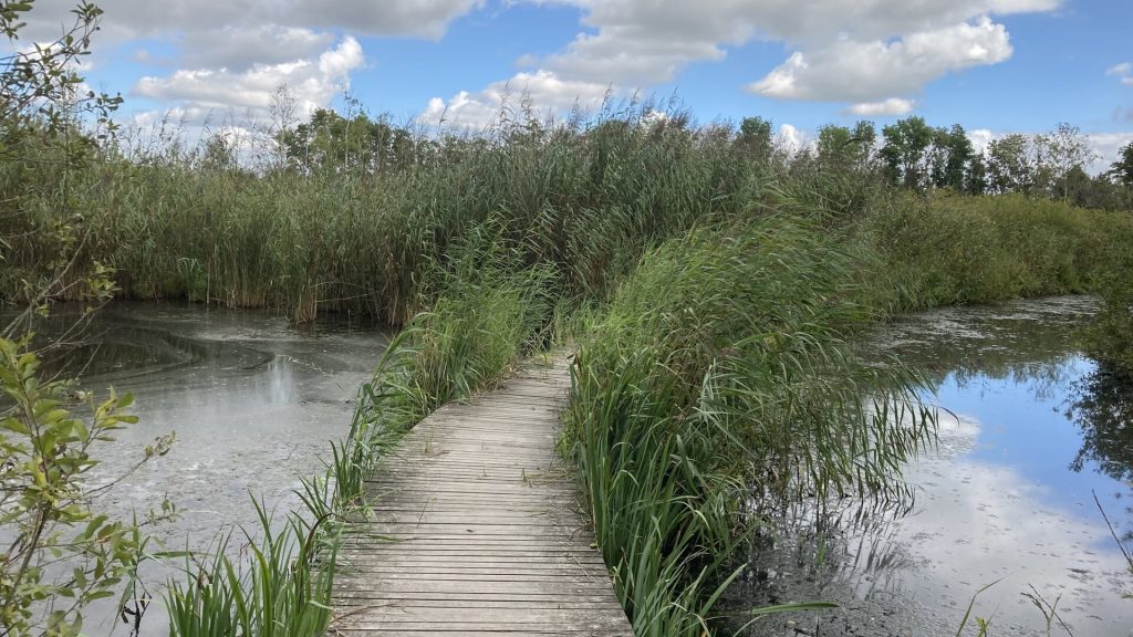 Wandelen – Krimpenerwaard