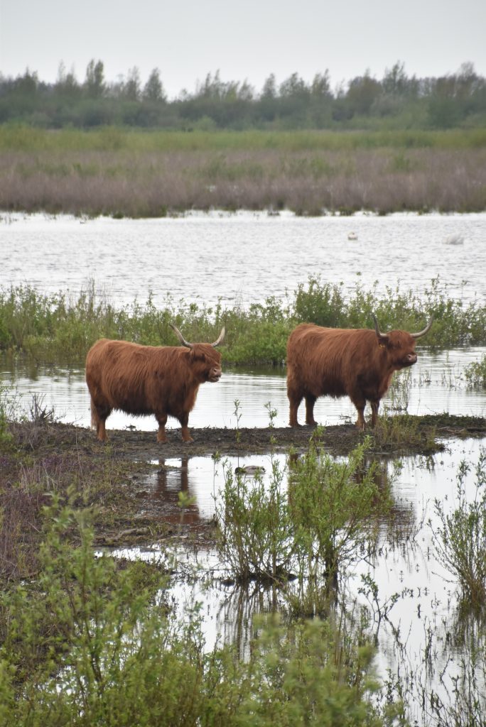 Excursie Tiengemeten: meld je aan.