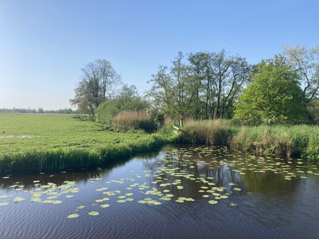 Wandelen: Mazenpad