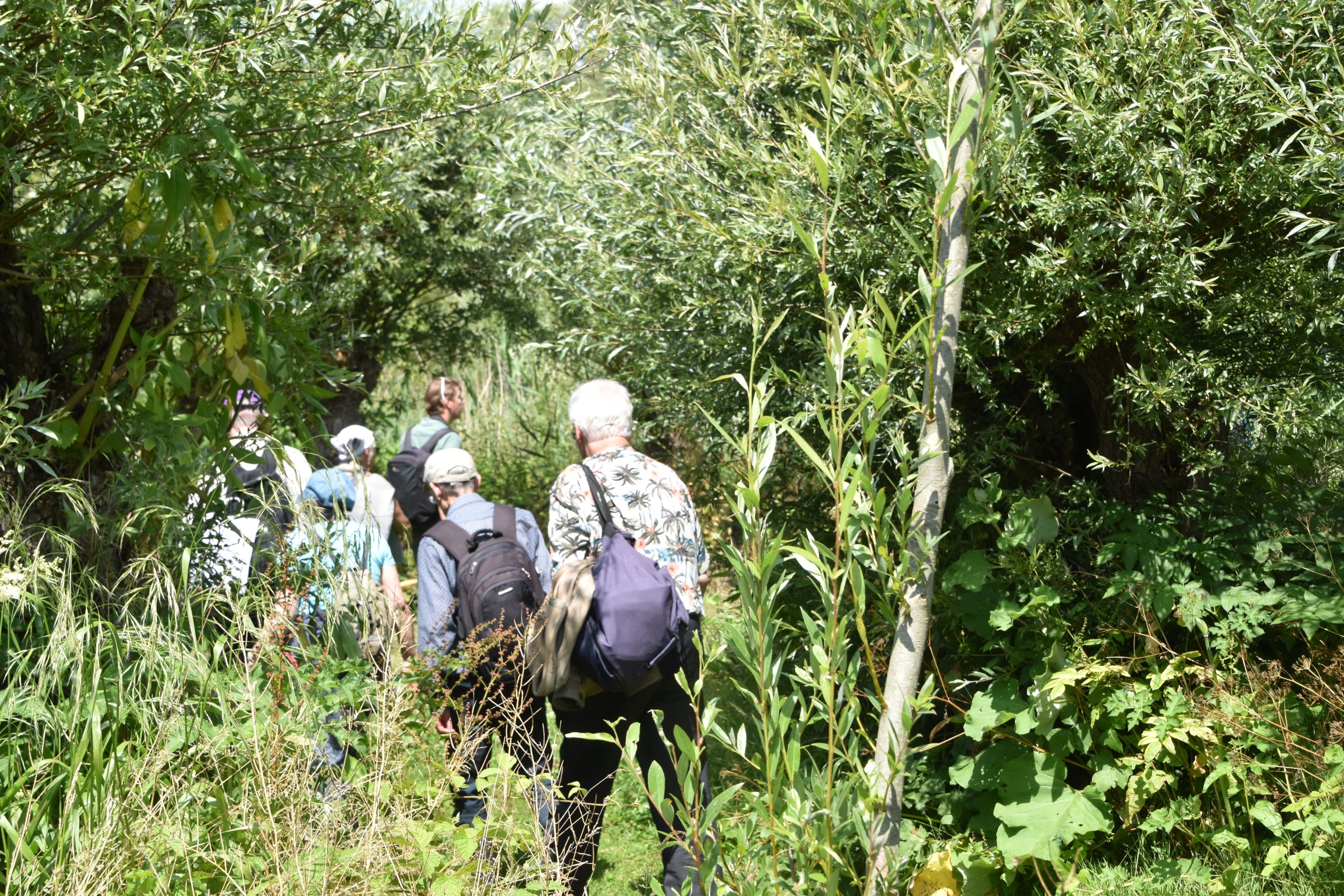 27 sept.: Klimaatwandeling in de Biesbosch