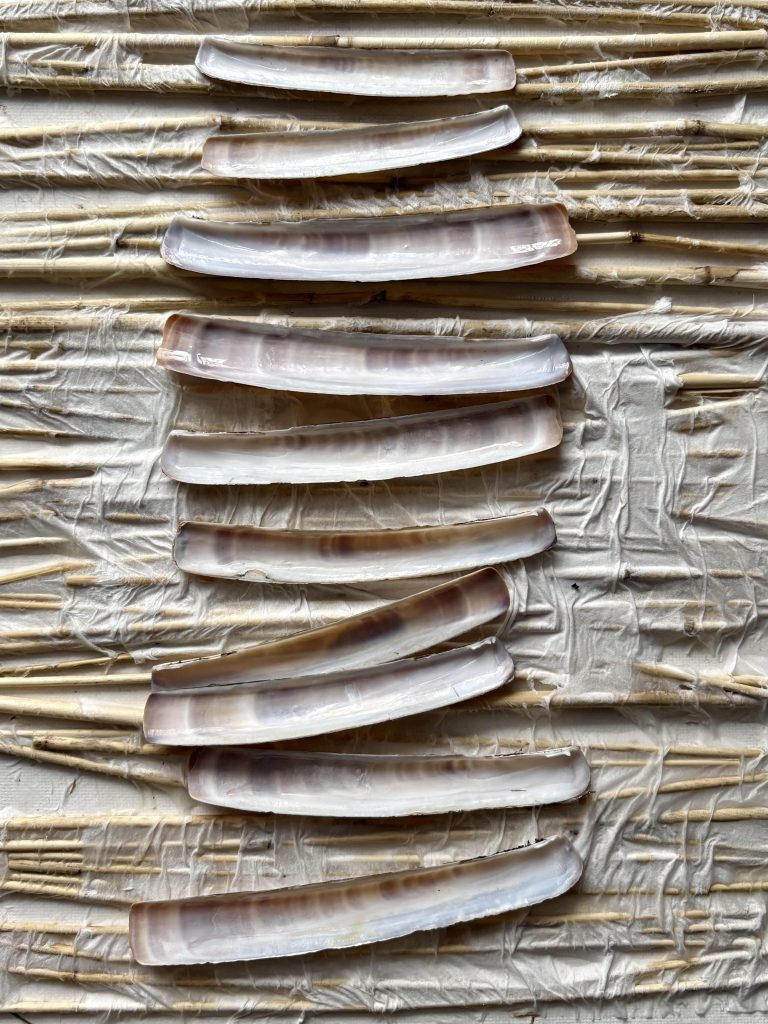 Grote Zomertentoonstelling