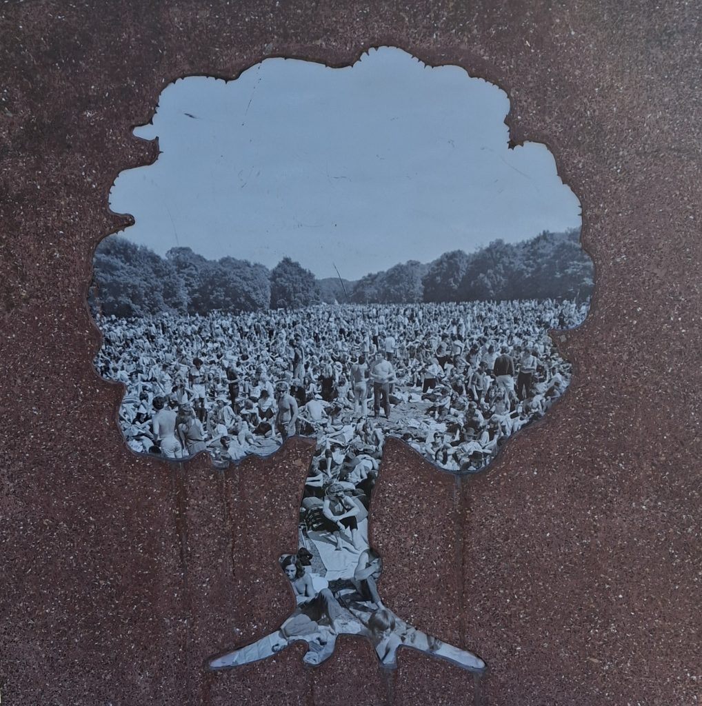 Pop op het doek: Holland Popfestival