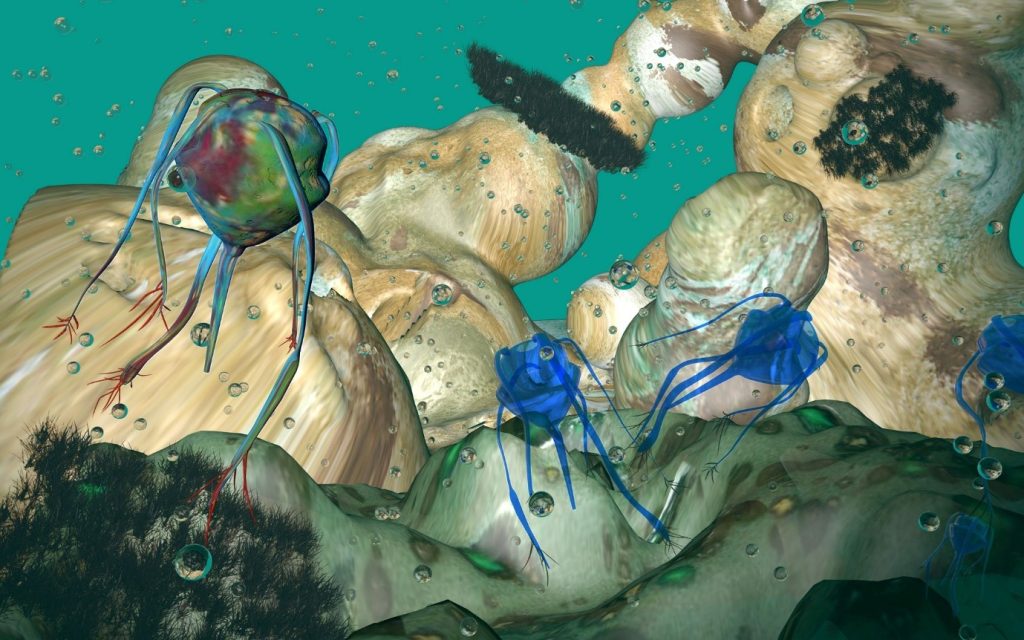 Presentatie Monster-3D Incubator