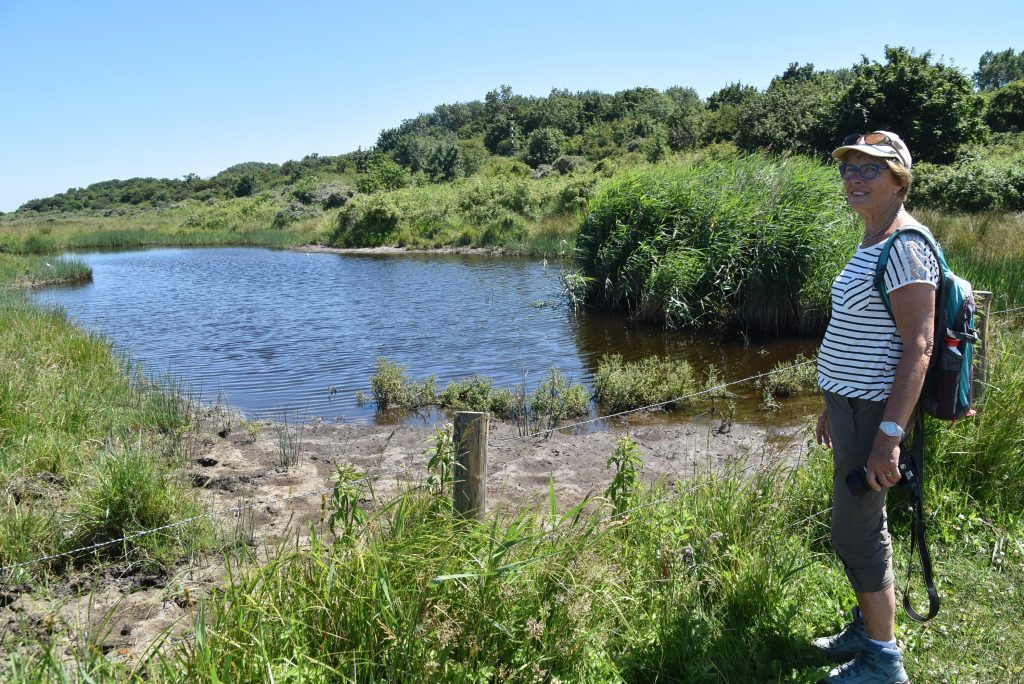 Vogels spotten op Goeree en Voorne