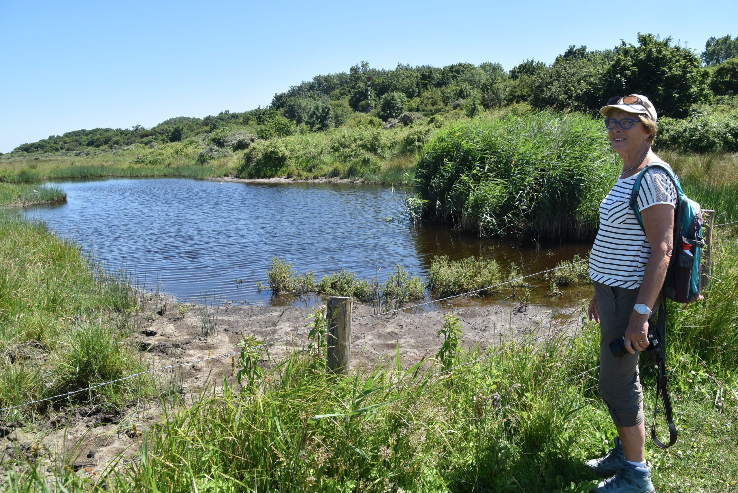 Vogels spotten op Goeree en Voorne