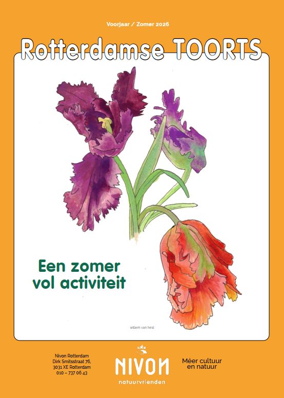 Rotterdamse Toorts voorjaar zomer 2026
