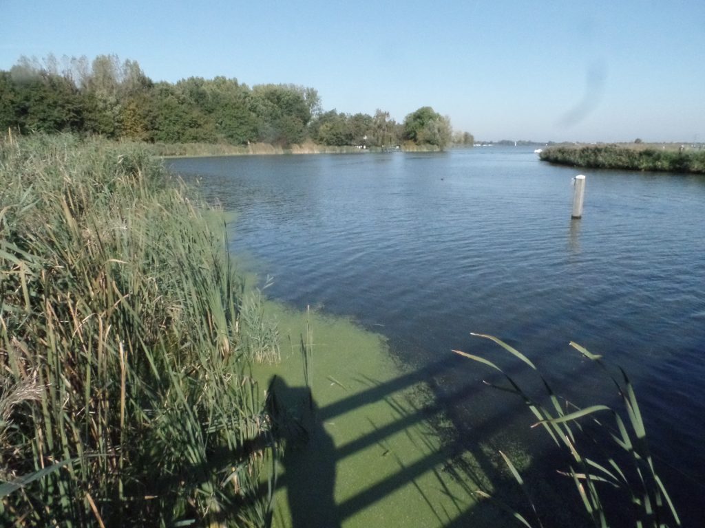 Wandelen: Rond de Rotte