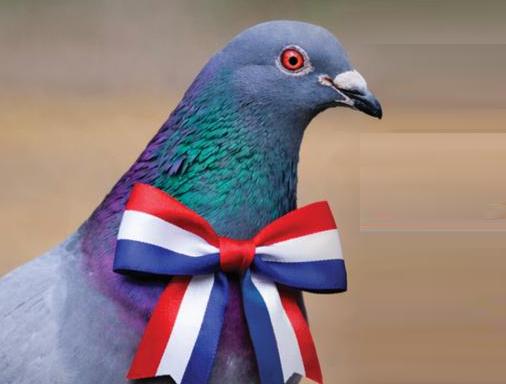 5 mei Jazz in Crooswijk