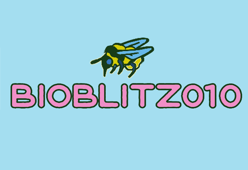 Doe mee met BioBlitz!